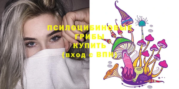 дживик Беломорск