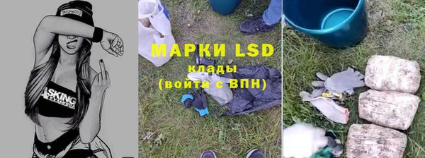 дживик Беломорск