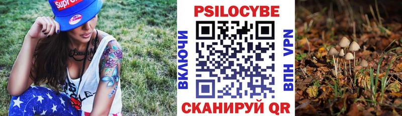 Купить где  Лысково  Псилоцибиновые грибы прущие грибы 